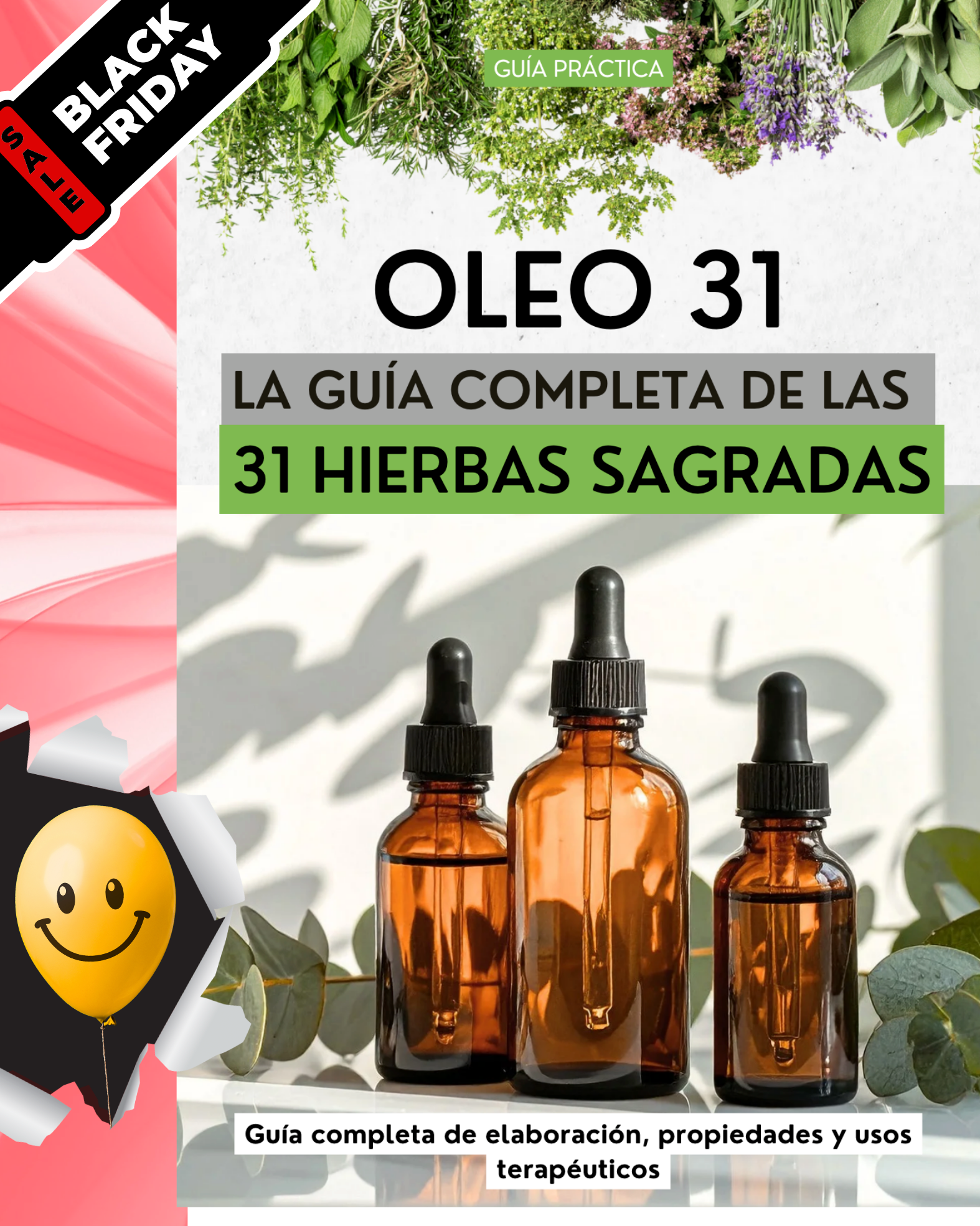 Guia para elaborar OLEO 31