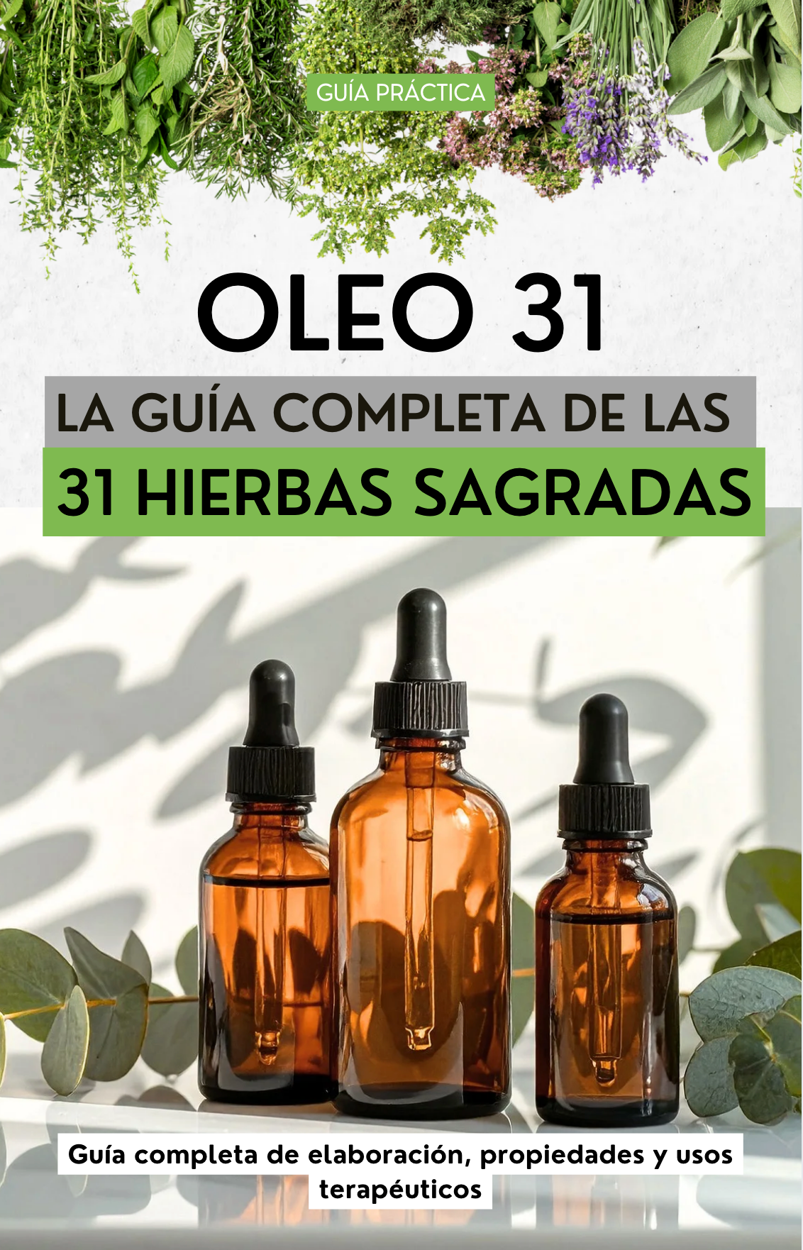 Guia para elaborar OLEO 31